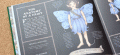 A NATURAL HISTORY OF FAIRIES