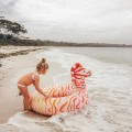 Sunnylife ZEBRA