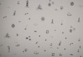 Ndoto GREY UNDER THE SEA bedding set 100x135